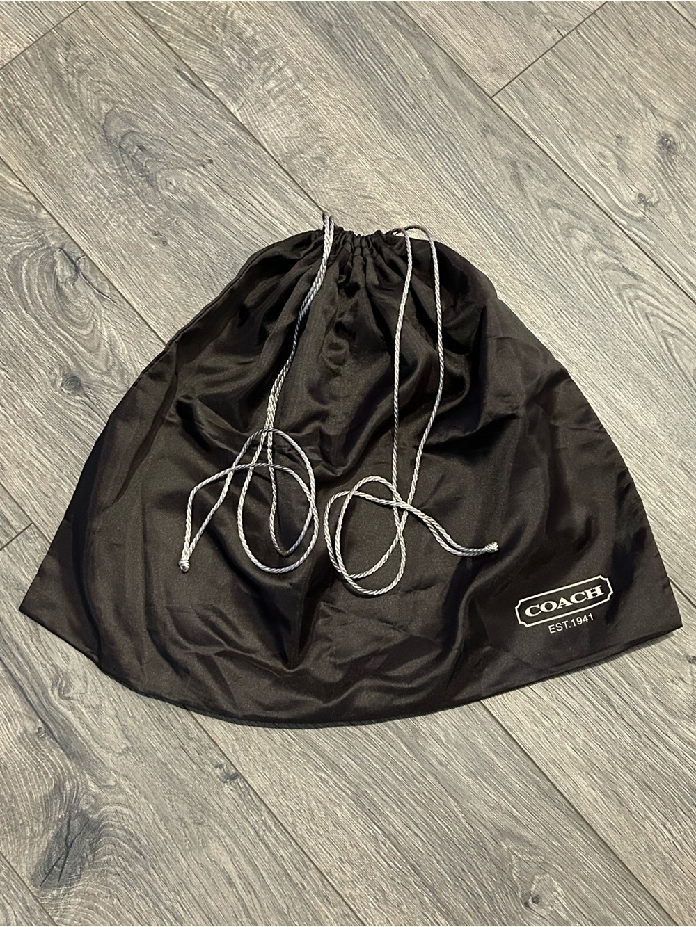 COACH Brown Dust Bag with Drawstring